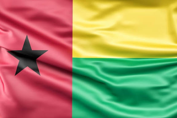 Cidadãos Guineenses exigem ação da CEDEAO em defesa da democracia