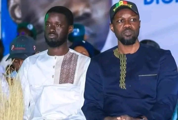 Alioune Tine critica egos e lógica eleitoralista no Senegal