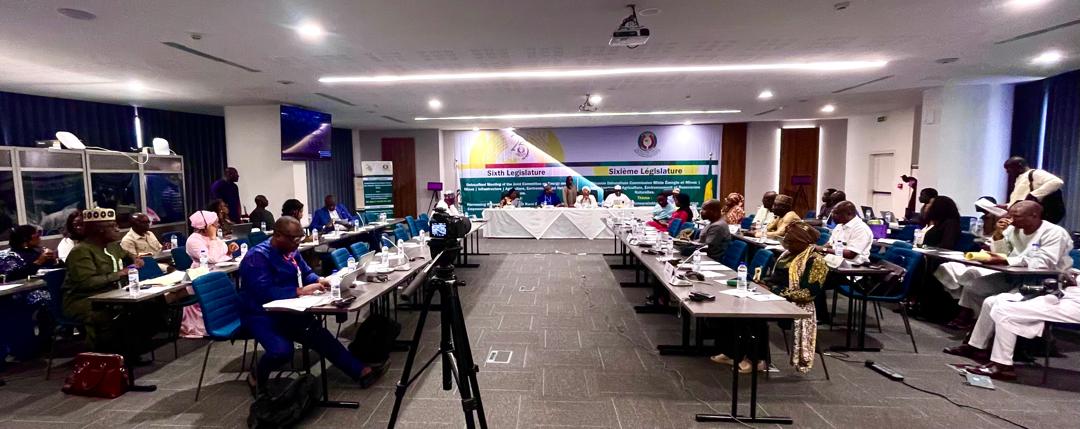 Parlamento da CEDEAO apela a ação concertada para levar energia às zonas rurais