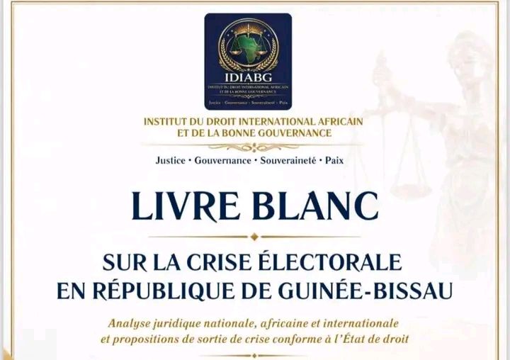 Democracia interrompida: relatório acusa e exige resposta da CEDEAO e da União Africana